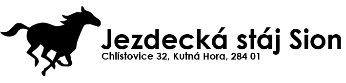 JS Sion logo